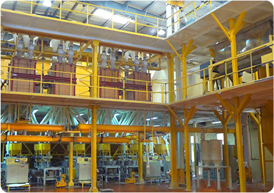 Factory/Manufacturing Unit